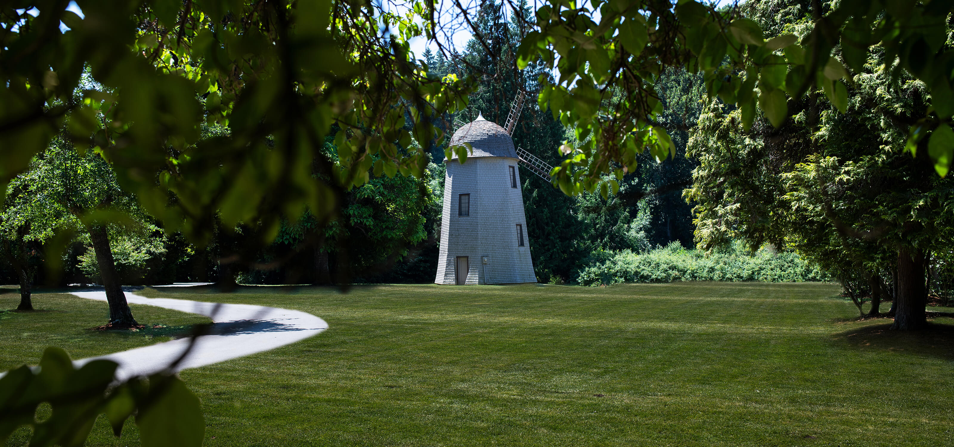 Picture of windmill at Redmond's Marymoor Park