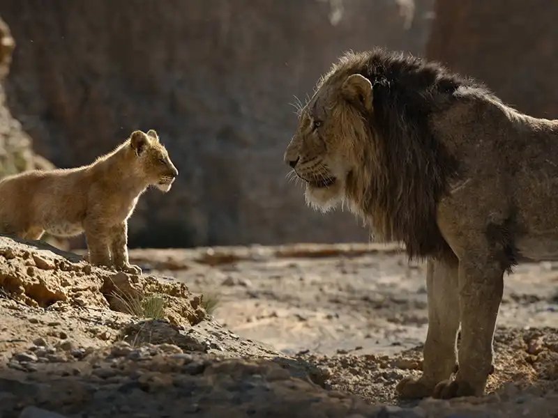 Simba and Mufasa speak to one another in the African savannah in The Lion King.