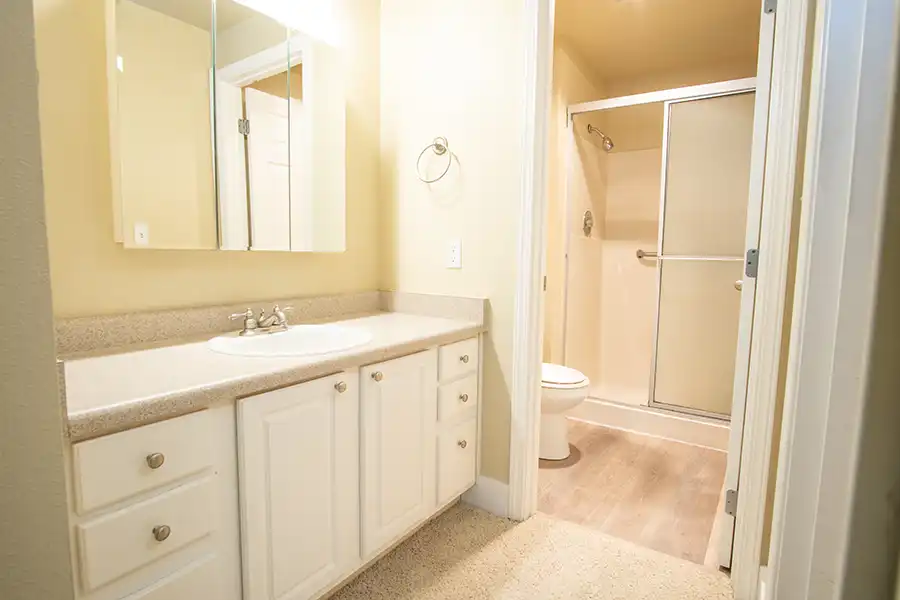 View of bathroom sink leading to shower