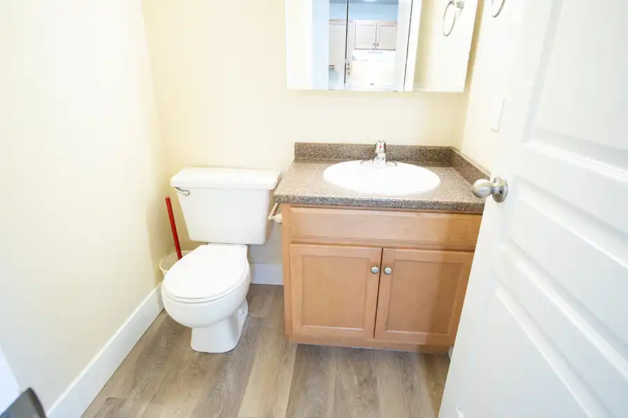 Bathroom sink and toilet.